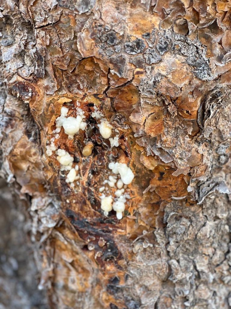 صورة غلاف القائمة