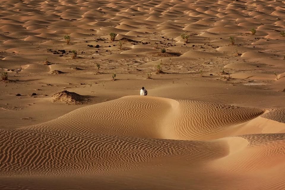 صورة غلاف القائمة