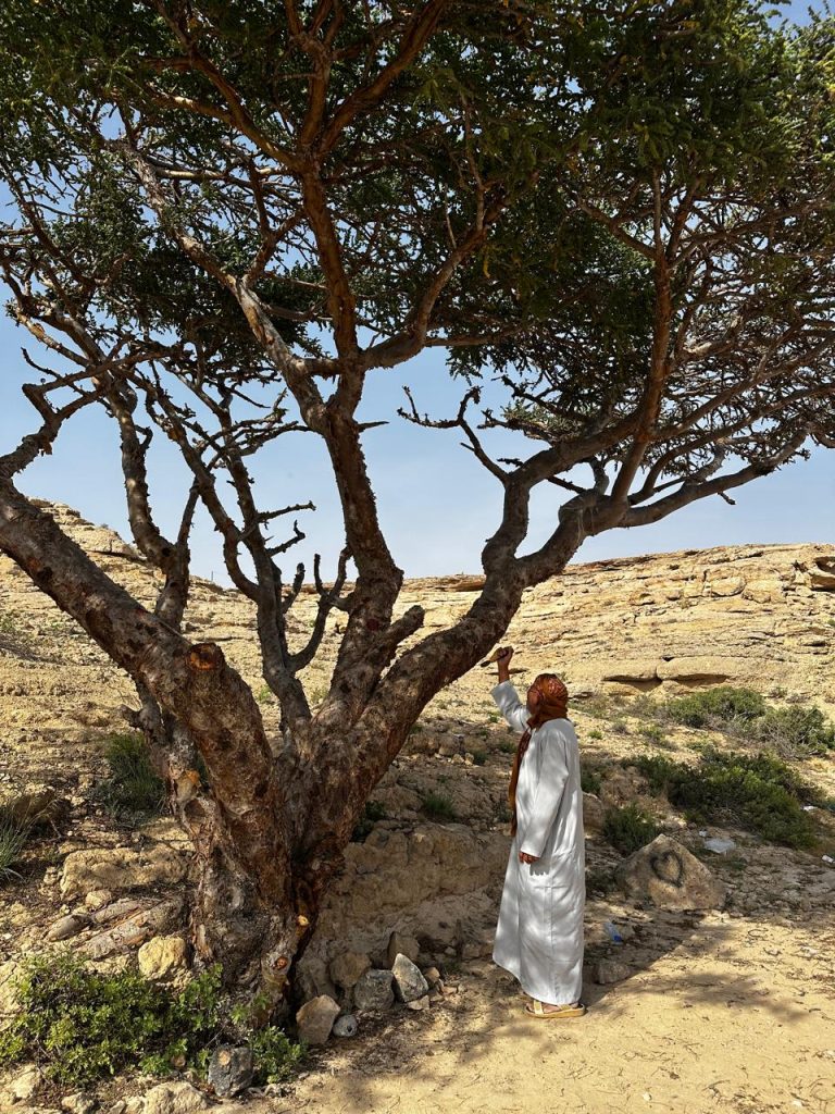 صورة غلاف القائمة