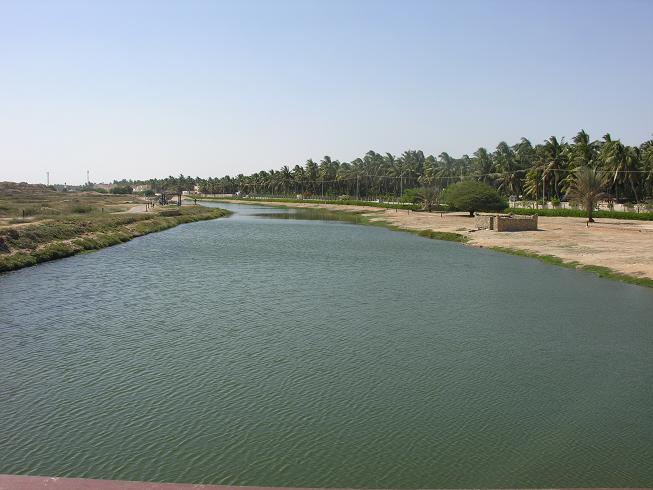 صورة غلاف القائمة