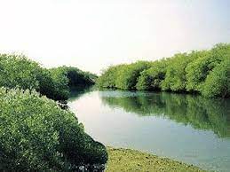 صورة غلاف القائمة