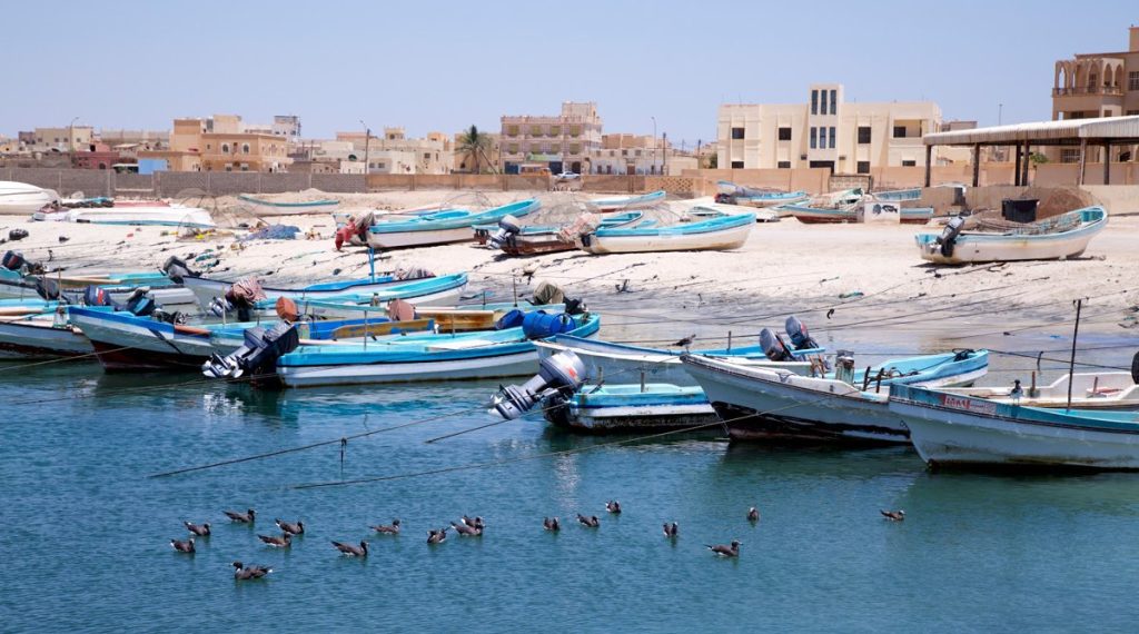 صورة غلاف القائمة